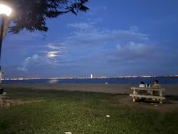 Bayshore Road (D16), Condominium #595216591
